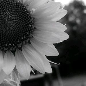 Meet your Posher, Shelly